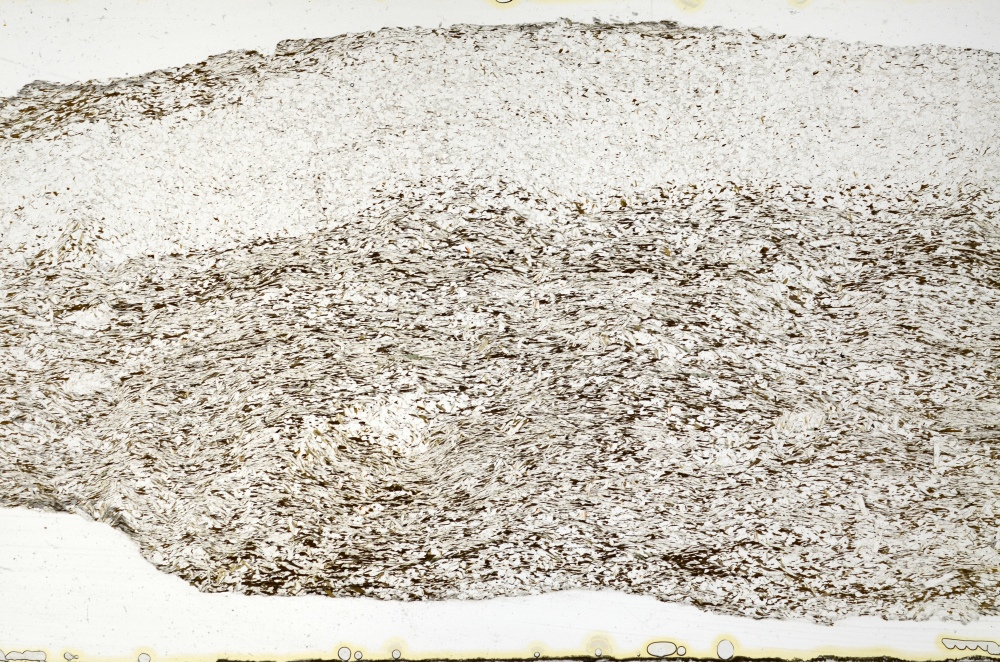 Plane Polarized, S69330