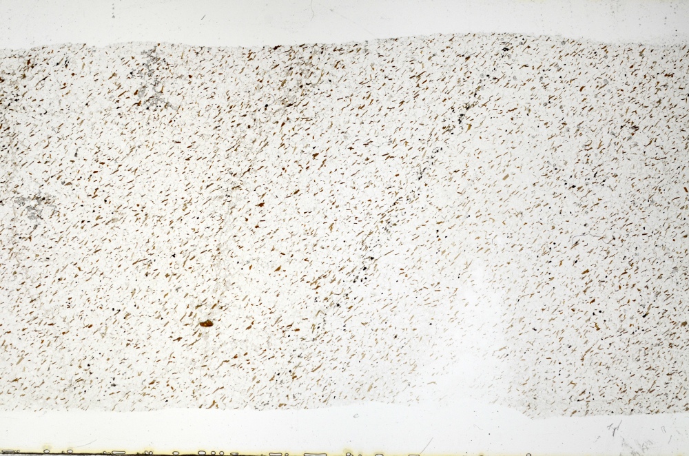 Plane Polarized, S69331