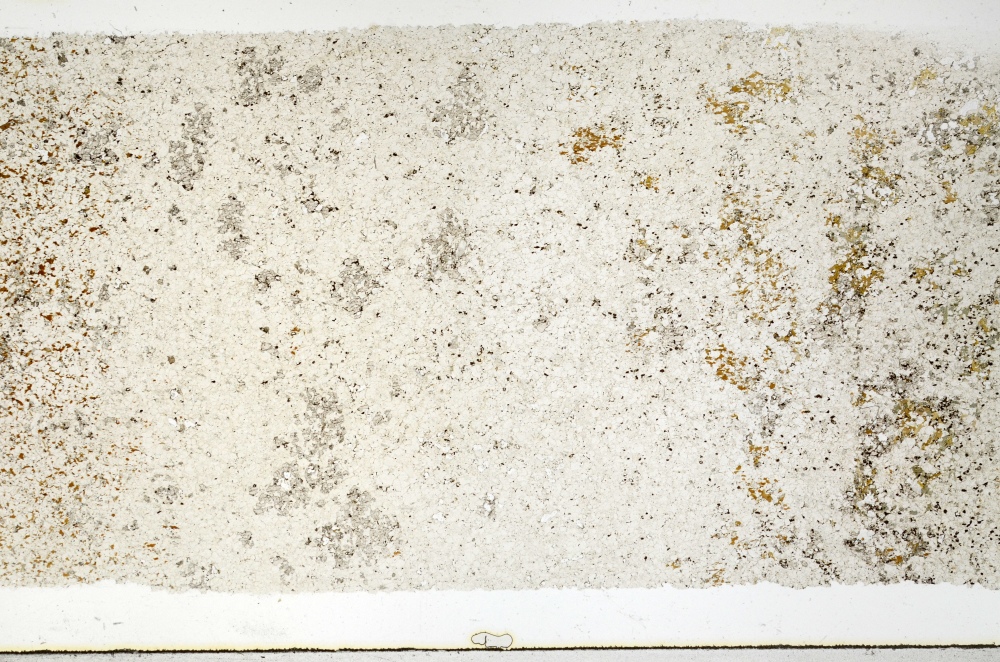 Plane Polarized, S69335