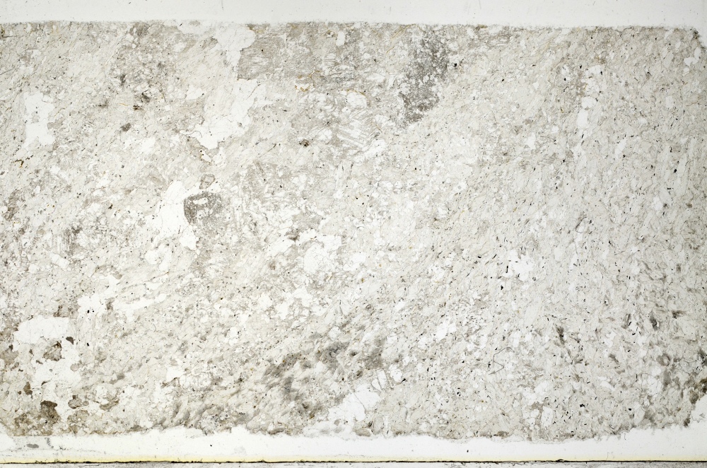 Plane Polarized, S69349