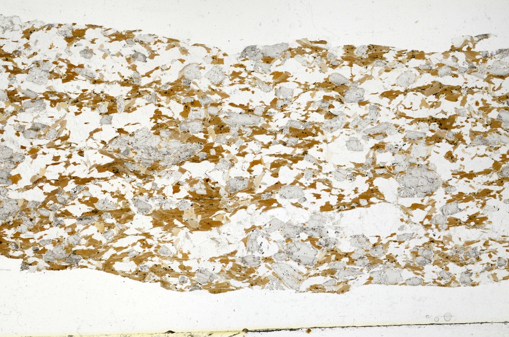 Plane Polarized, S69352