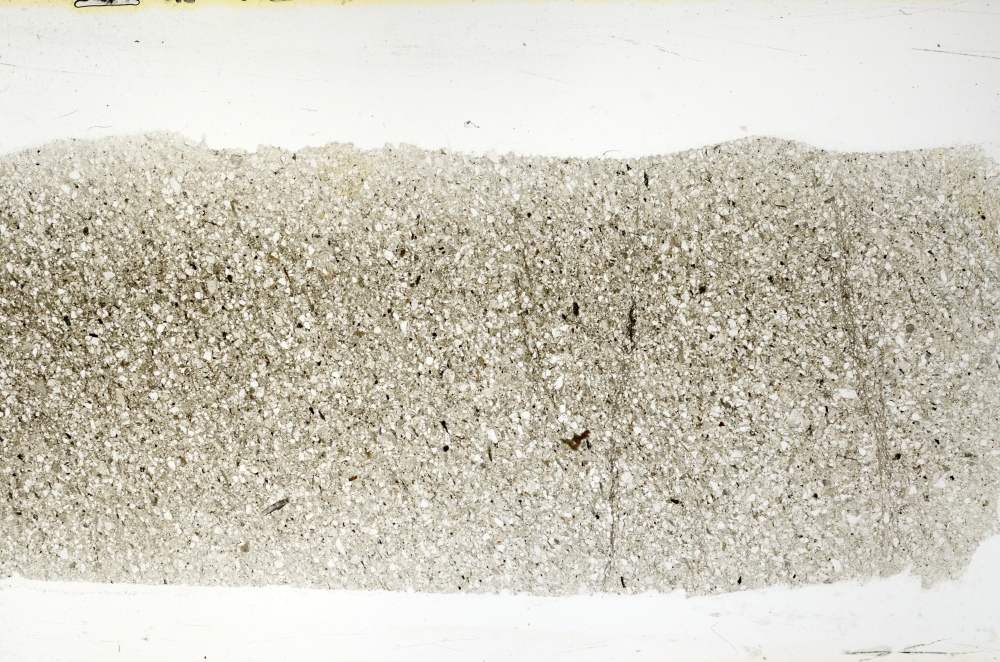 Plane Polarized, S69417