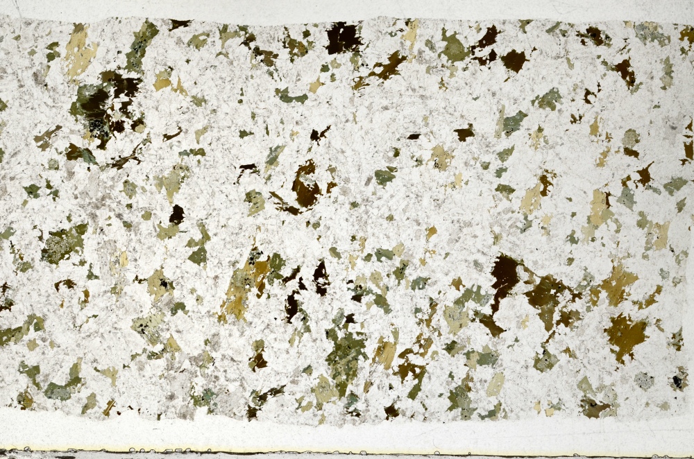 Plane Polarized, S69427