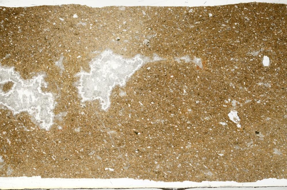 Plane Polarized, S69433