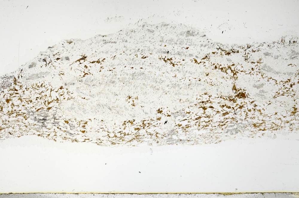 Plane Polarized, S69590