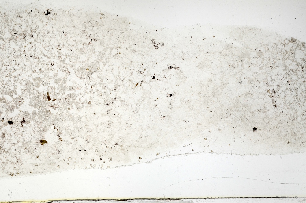 Plane Polarized, S69611