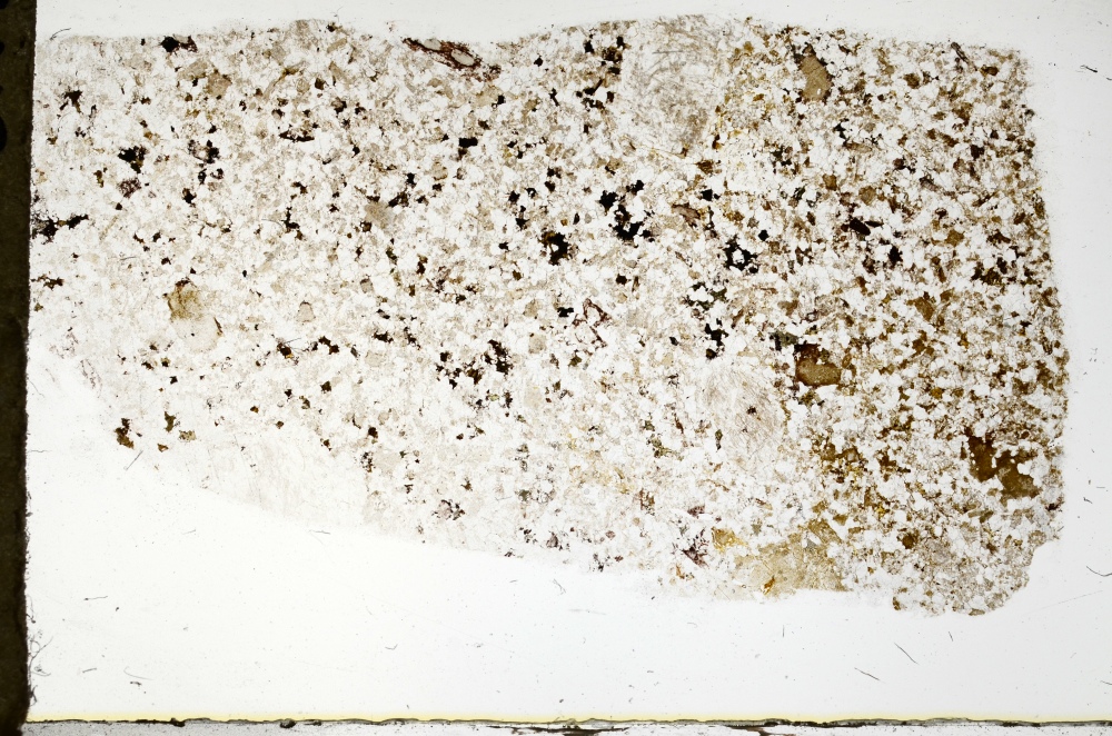 Plane Polarized, S69612