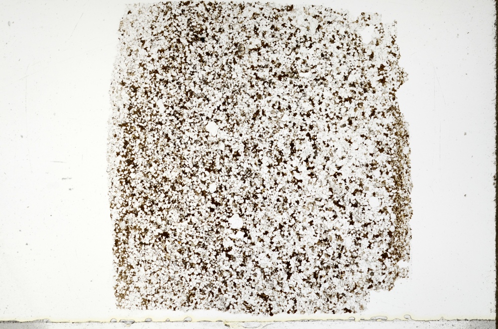 Plane Polarized, S69751