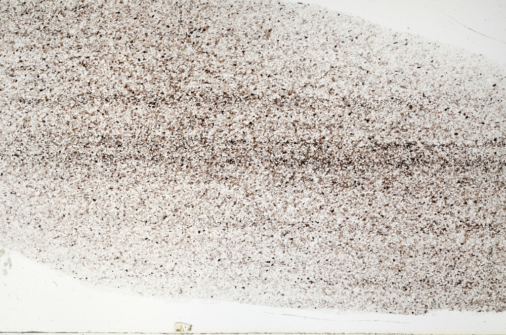 Plane Polarized, S69756