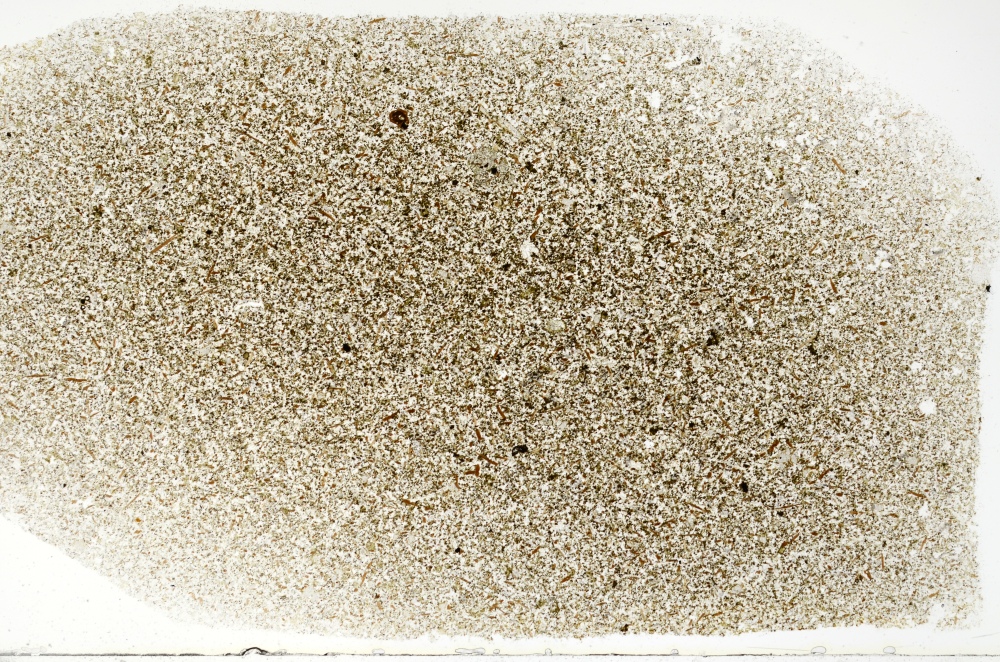 Plane Polarized, S69758