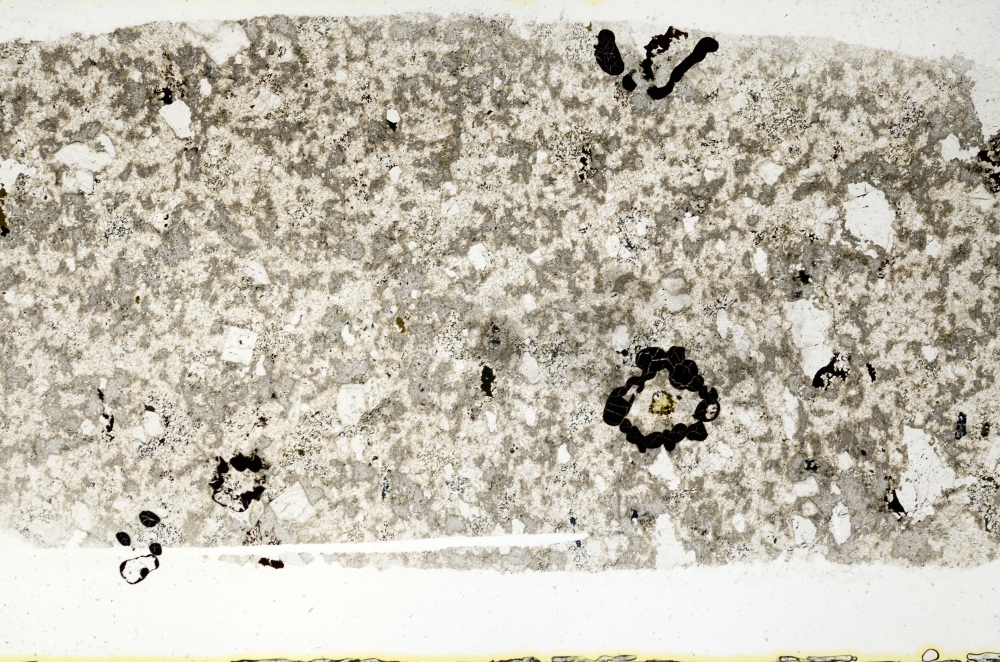 Plane Polarized, S69761