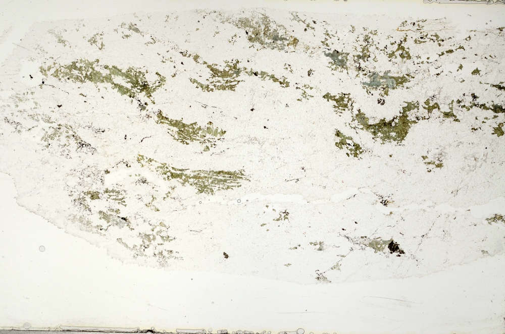 Plane Polarized, S69781