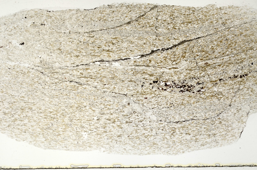 Plane Polarized, S69783