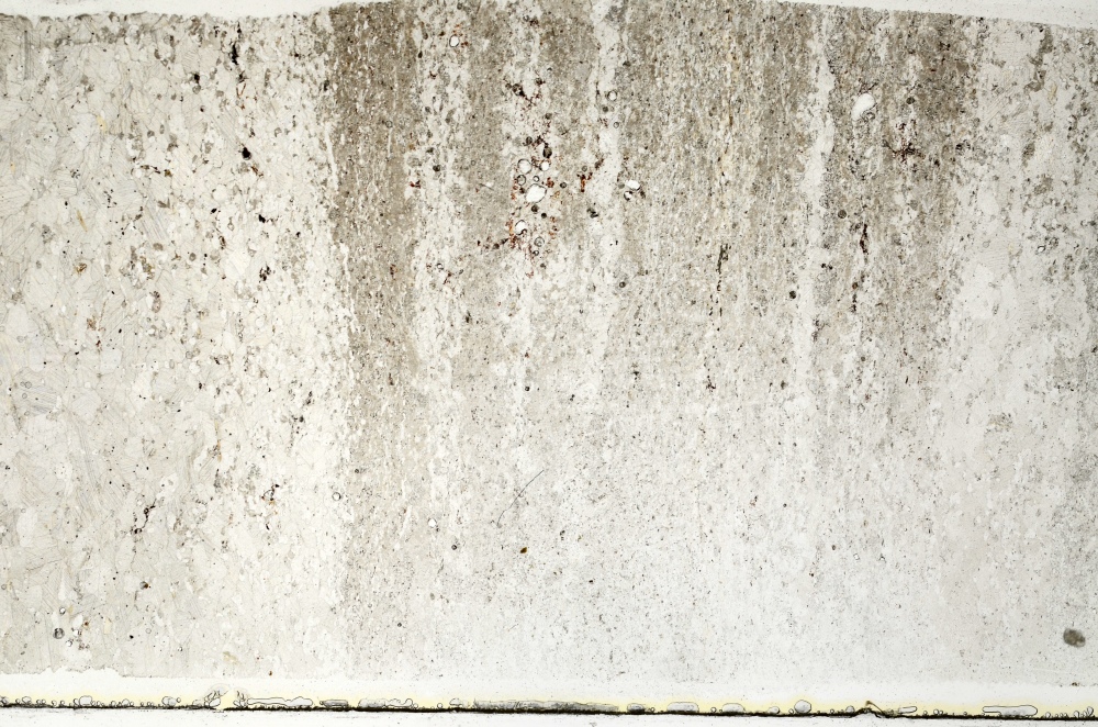 Plane Polarized, S69787