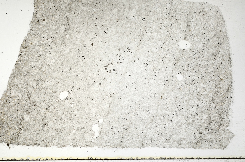 Plane Polarized, S69798