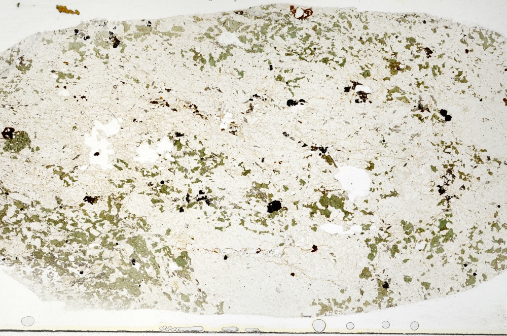 Plane Polarized, S69812