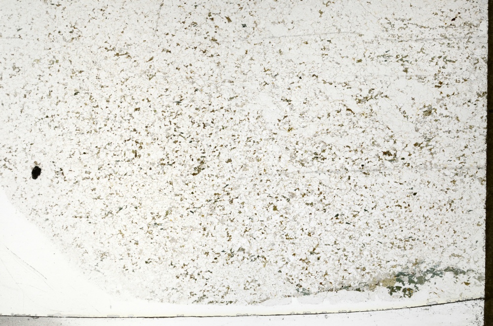Plane Polarized, S69822