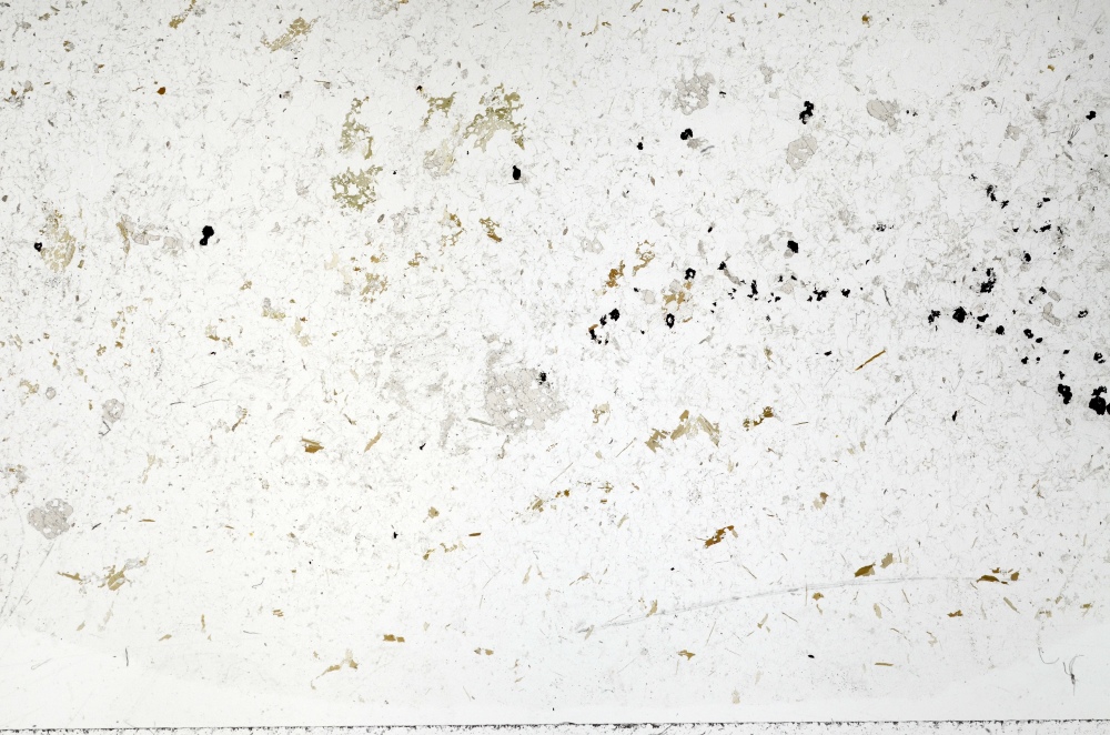Plane Polarized, S69864