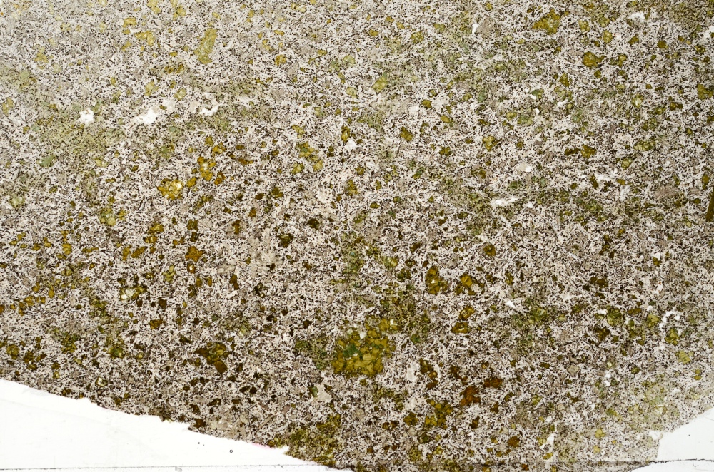 Plane Polarized, S69866