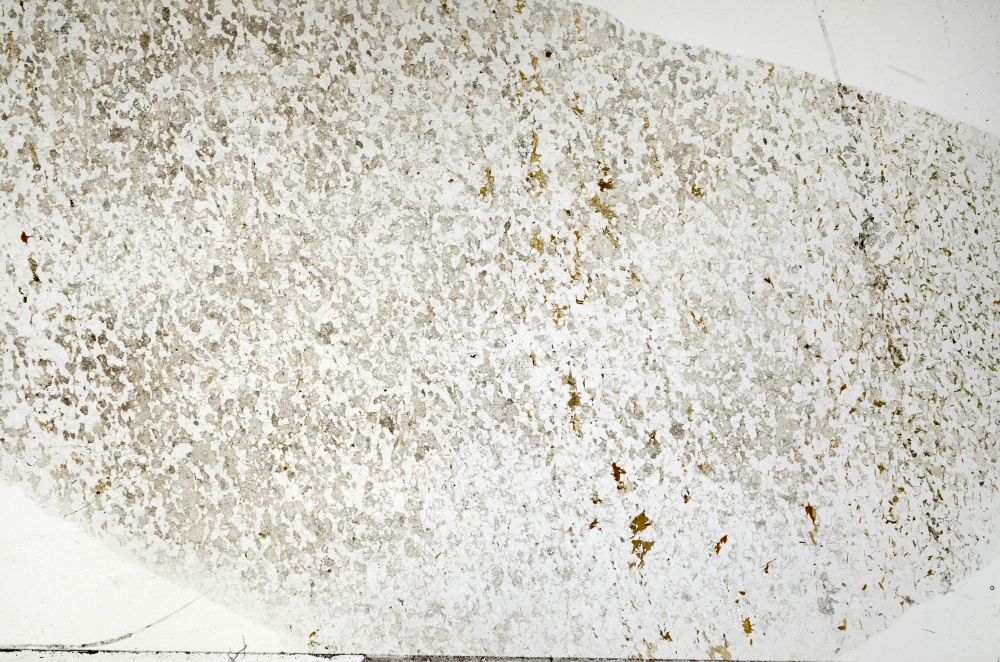 Plane Polarized, S69867