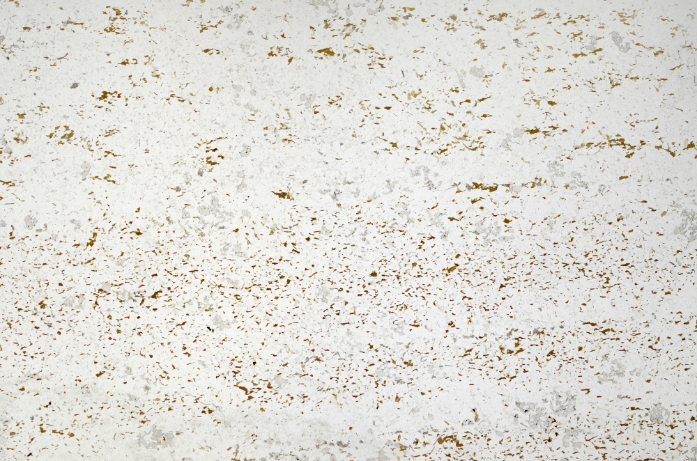 Plane Polarized, S69869