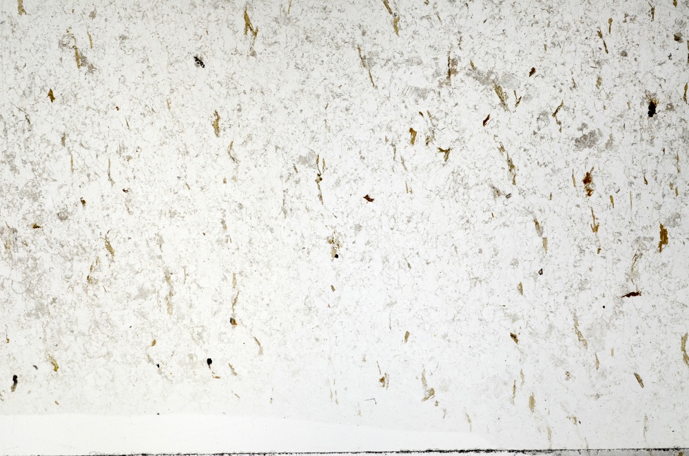 Plane Polarized, S69873