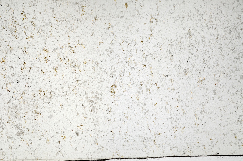 Plane Polarized, S69875