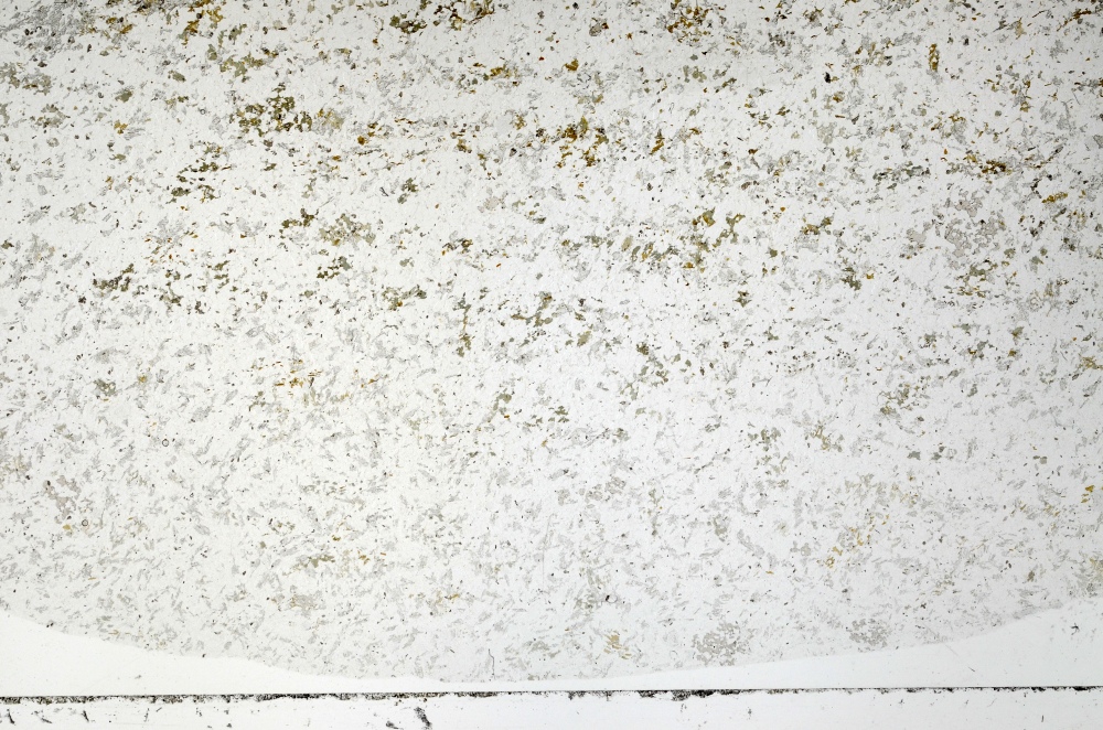 Plane Polarized, S69876