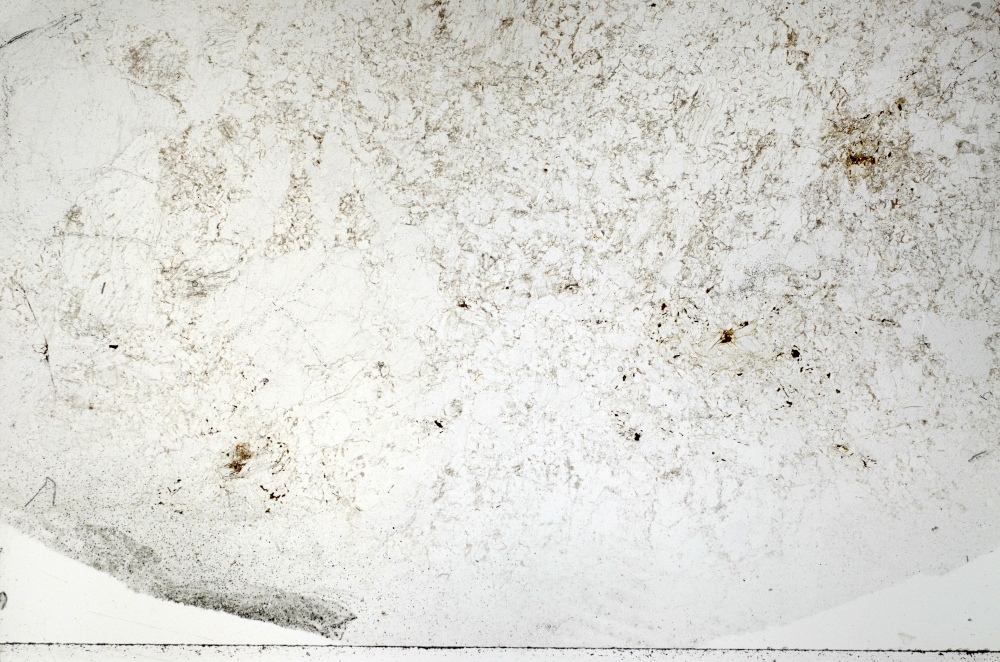 Plane Polarized, S69881