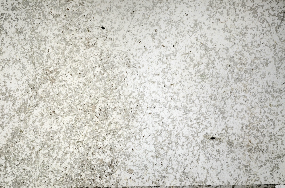 Plane Polarized, S69883