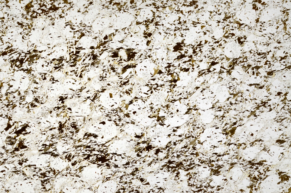 Plane Polarized, S69884