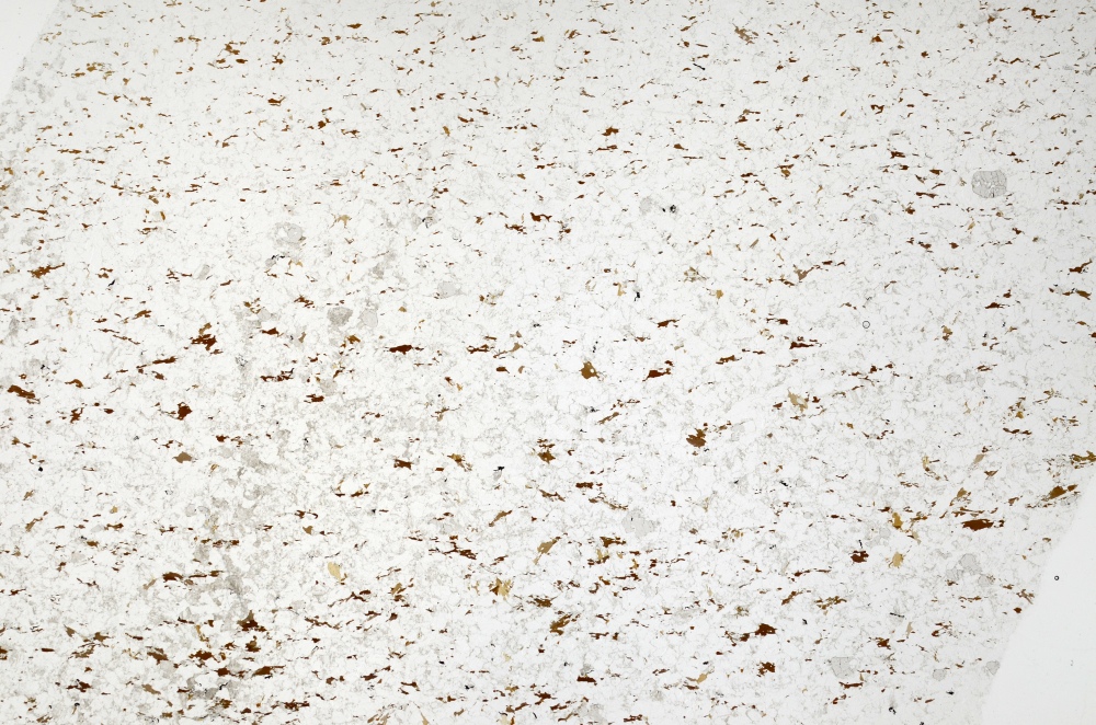 Plane Polarized, S69892