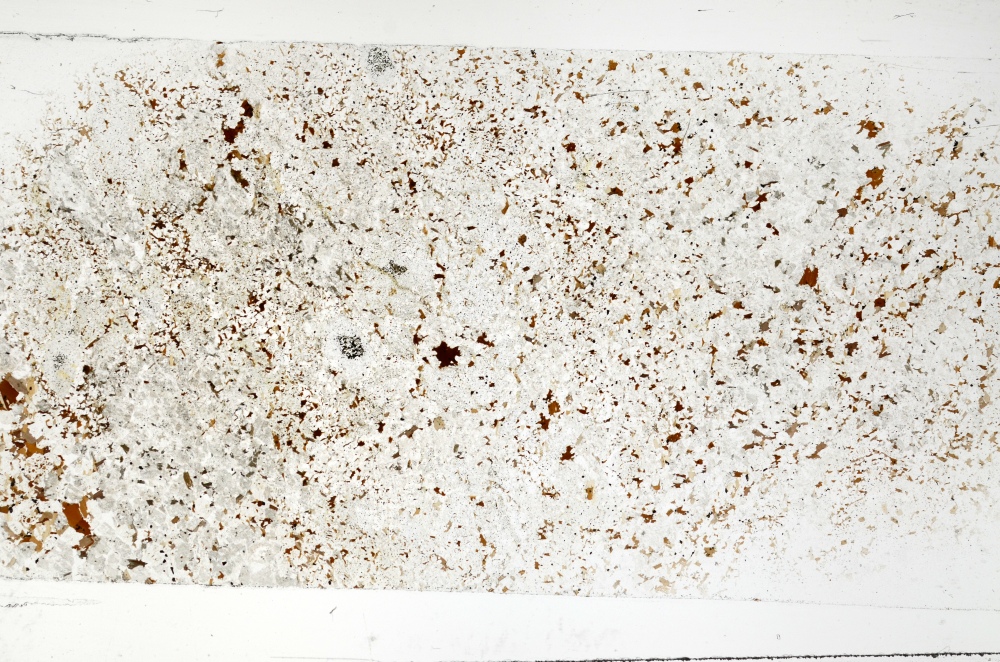 Plane Polarized, S70051