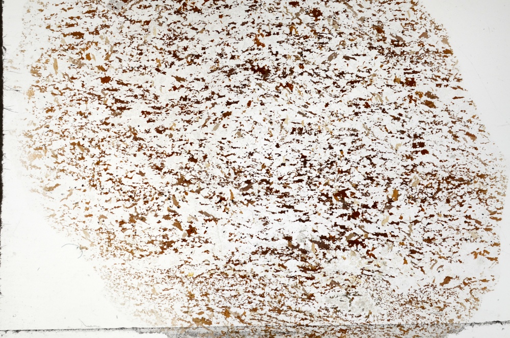 Plane Polarized, S70052