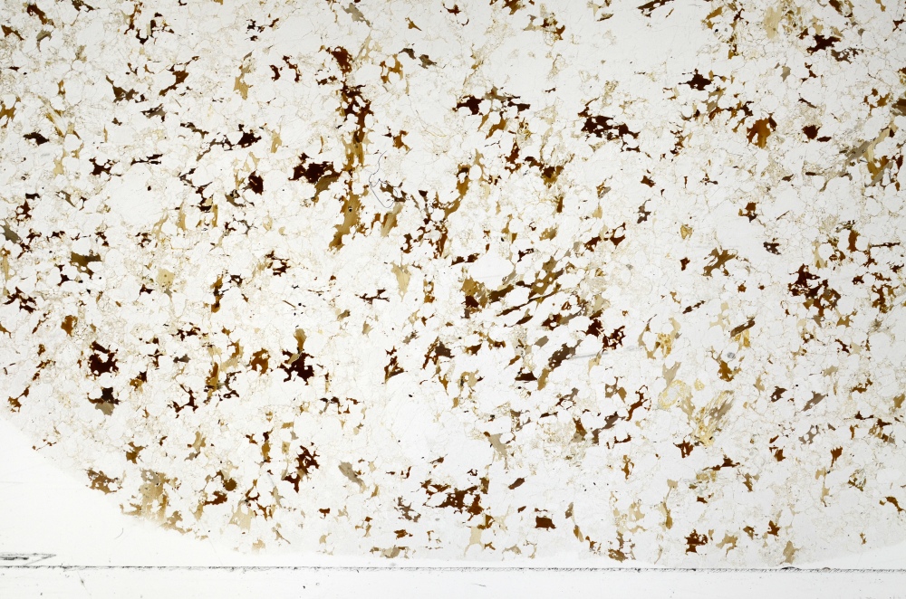 Plane Polarized, S70056