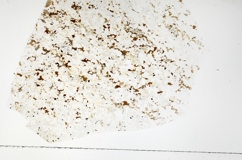 Plane Polarized, S70057