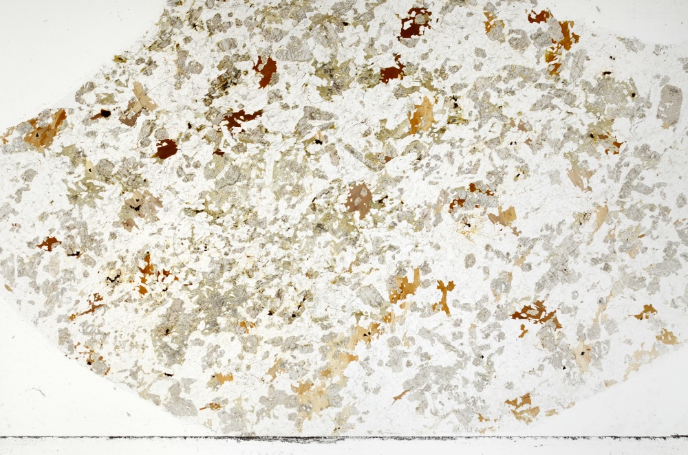 Plane Polarized, S70058