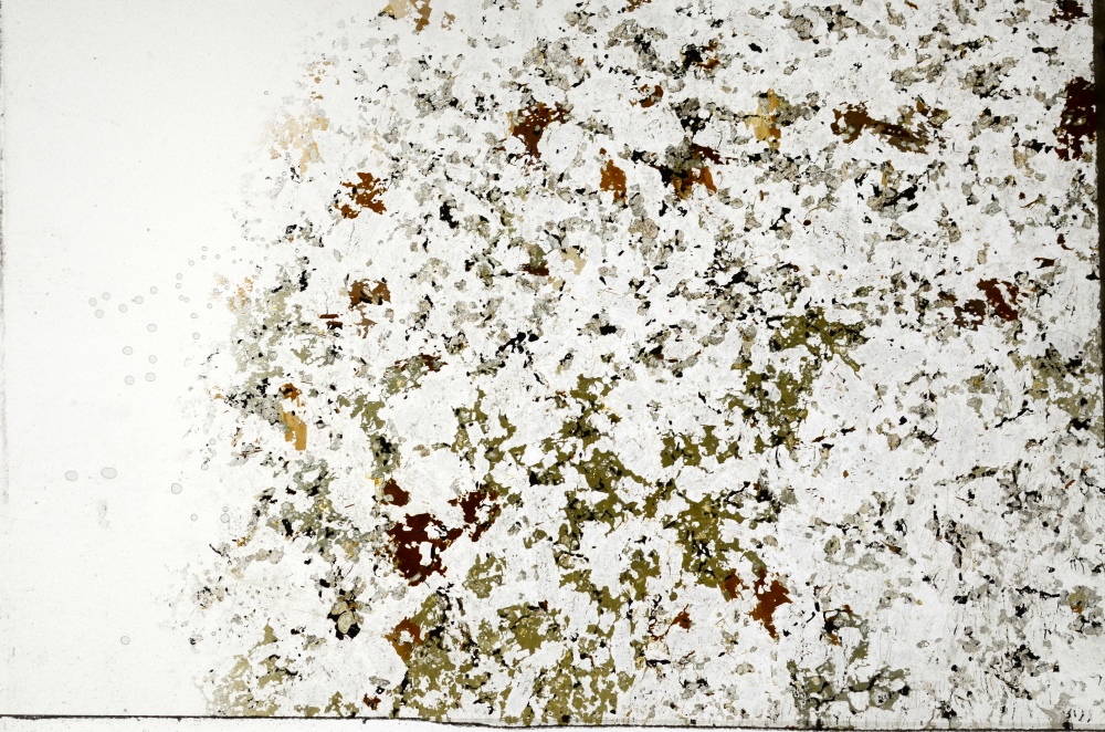 Plane Polarized, S70059