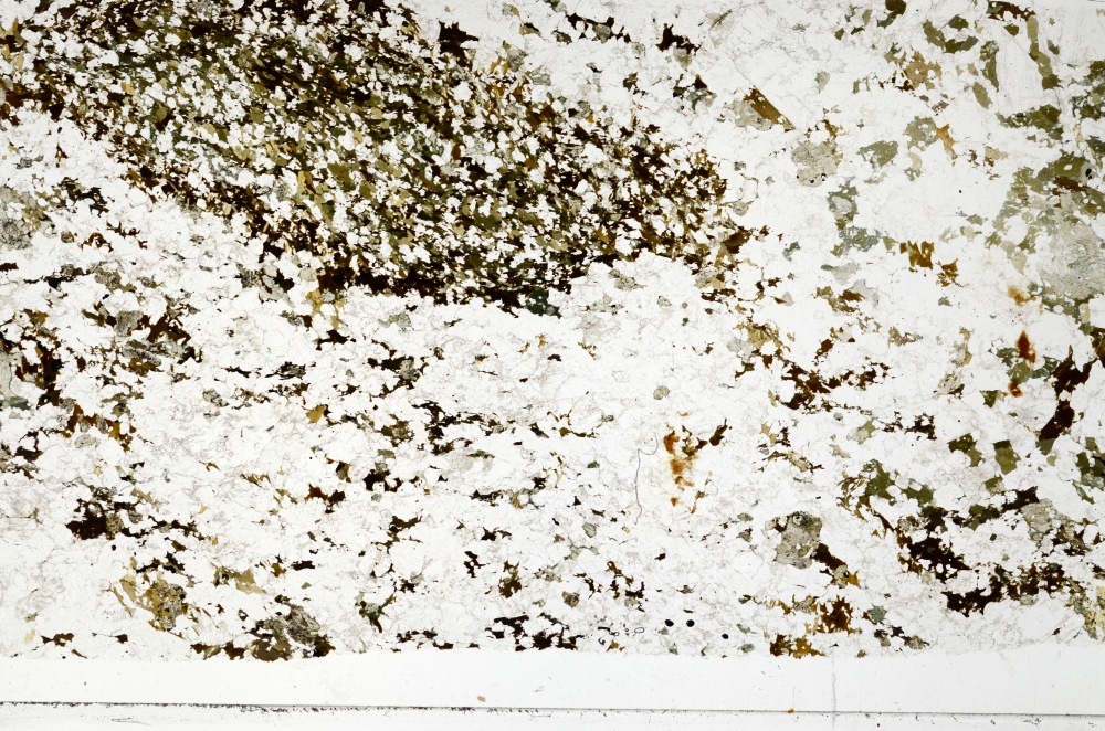 Plane Polarized, S70060