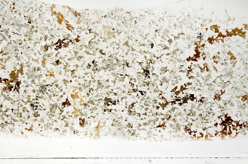 Plane Polarized, S70101