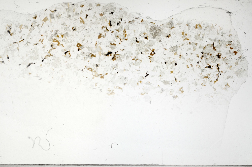 Plane Polarized, S70102