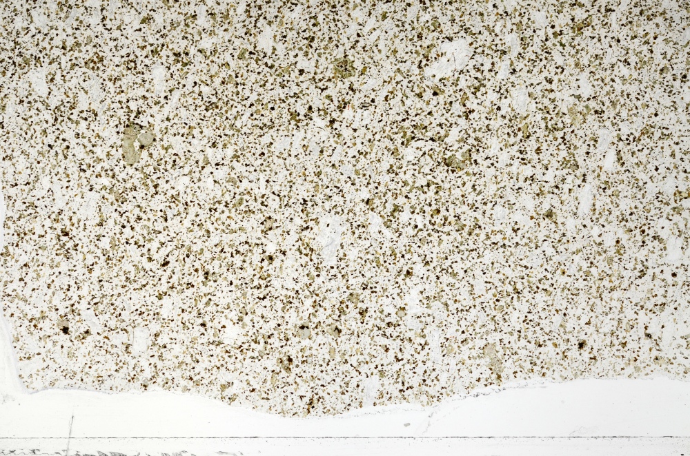 Plane Polarized, S70105