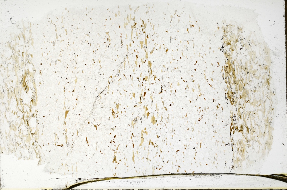 Plane Polarized, S70201