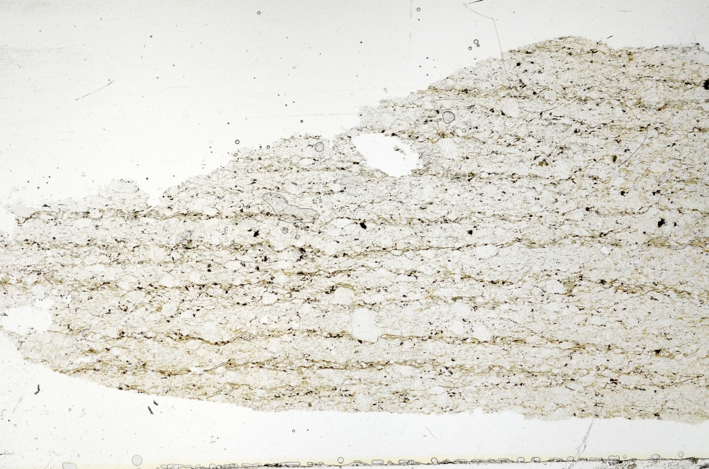 Plane Polarized, S70204