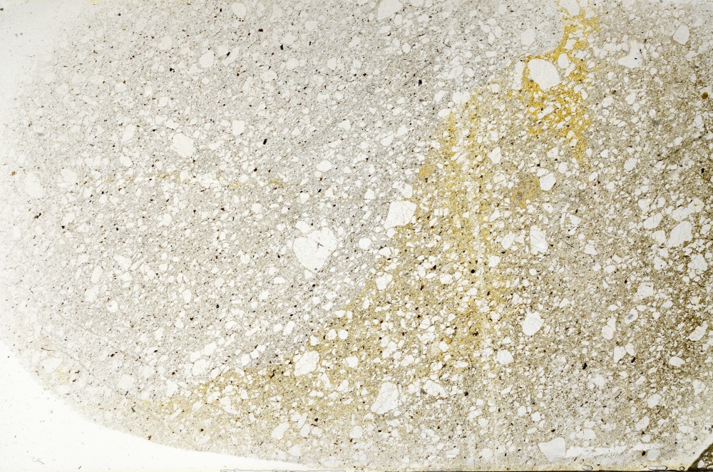 Plane Polarized, S70221