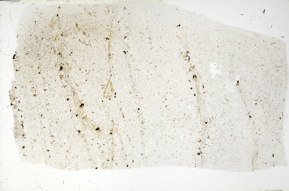 Plane Polarized, S70234