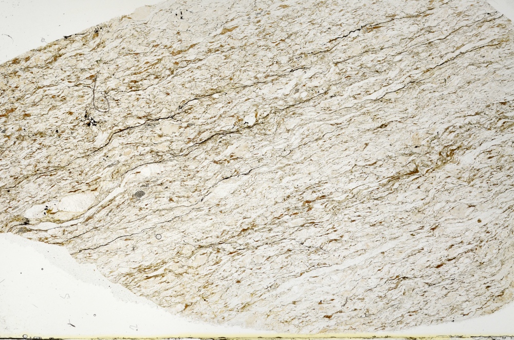 Plane Polarized, S70258