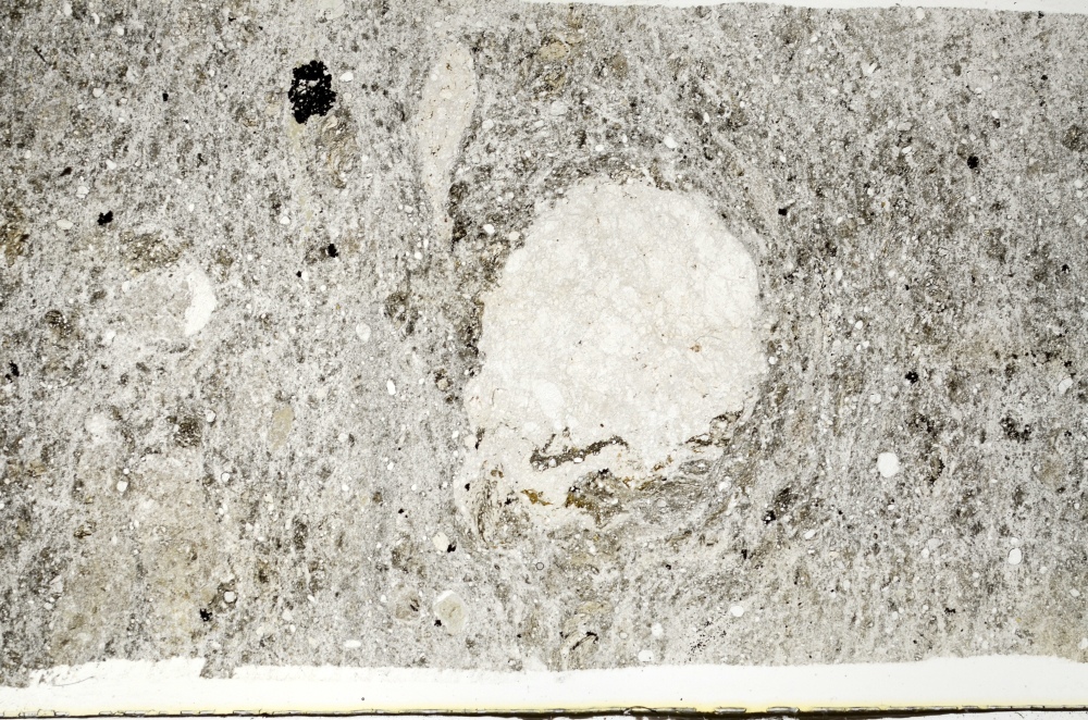 Plane Polarized, S70259