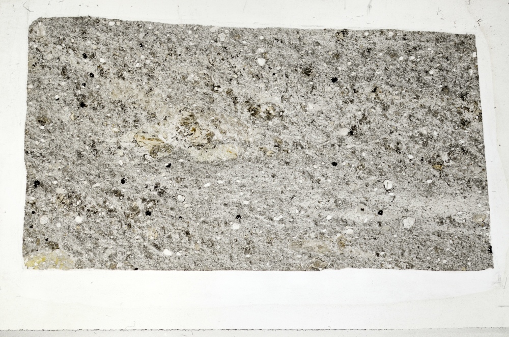 Plane Polarized, S70259/A