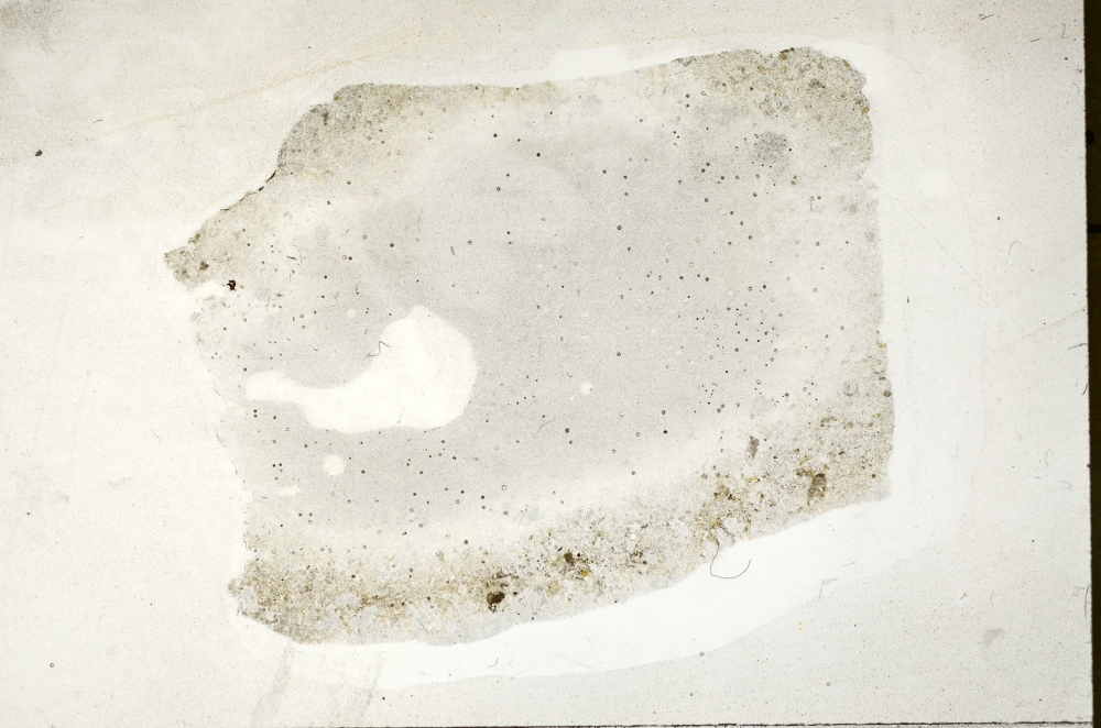 Plane Polarized, S70264/A